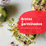 brotes y germinados