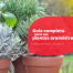 plantas aromáticas