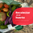 recolectar