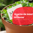 huerto de interior