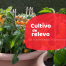 Cultivo de relevo